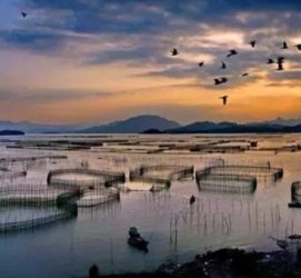 宣汉伴游中国网景点丰富(旅游网介绍)