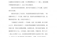 宣汉旅游感想(张家界旅游感想)