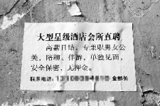 宣汉珠海伴游雇用网(珠海游览社雇用信息)
