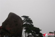 宣汉上海伴游私家陪游雇用女模(上海伴游私家陪游雇用女模特)
