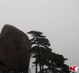 宣汉上海伴游私家陪游雇用女模(上海伴游私家陪游雇用女模特)