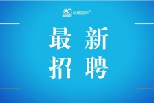 宣汉镇江伴游雇用驾驶员(镇江驾驶员雇用苍生网)