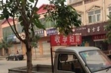 宣汉上海伴游 用伴游造句大全(5