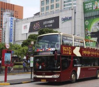 宣汉上海私人伴游 上海过年怎么玩？这些“微游”线路了解下→