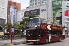 宣汉上海私人伴游 上海过年怎么玩？这些“微游”线路了解下→