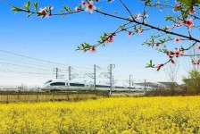 宣汉高铁游(高铁游戏下载手机版)