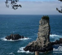 宣汉旅游全攻略(上海旅游全攻略)