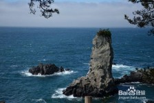 宣汉旅游全攻略(上海旅游全攻略)