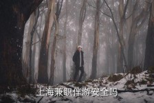 宣汉上海私人伴游 上海伴游，上海兼职伴游安全吗