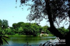 宣汉西湖旅游攻略(上海到杭州西湖旅游攻略)