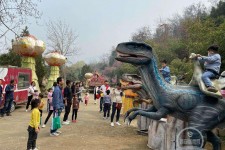 宣汉中国伴游带你打卡网红南山竹海(南山竹海网上预约)