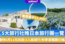 宣汉旅游价格(旅游价格机制)