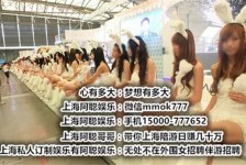 宣汉雇用旅游男伴游(北京商务酒店雇用伴游)
