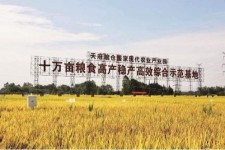 宣汉关于成都商务伴游外围雇用的信息