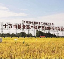 宣汉关于成都商务伴游外围雇用的信息