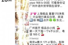 宣汉外围伴游雇用圈套(雇用伴游什么样子的是实的)