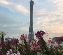 宣汉广州旅游攻略(杭州到广州旅游攻略)