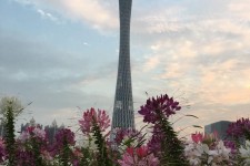 宣汉广州旅游攻略(杭州到广州旅游攻略)
