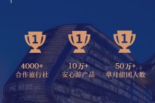 宣汉上海私人伴游 ​ “小而美”的新时代：2020年国内新跟团消费报告