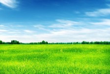 宣汉上海伴游 上海模特伴游微信号的交友宣言