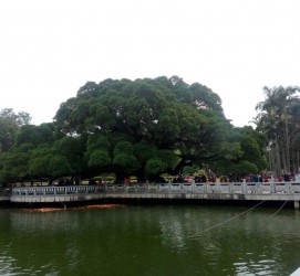 宣汉福州旅游攻略(福州旅游攻略二日游)