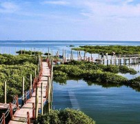 宣汉旅游哪里好玩(云南旅游哪里好玩)