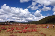 宣汉旅游去处(暑期最好的旅游去处)