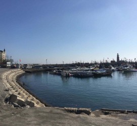 宣汉大连旅游攻略(大连旅游攻略自由行)