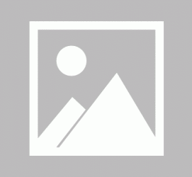 宣汉私人伴游 黄金周里动“黄”经 天津又现“私人陪游”逆流